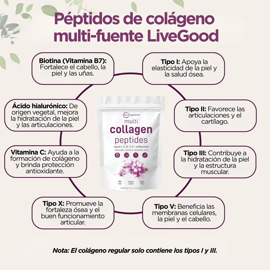 Multicolágeno Peptides en Polvo