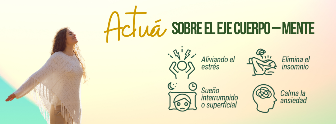 Ashwagandha - Equilibra tu mente y cuerpo naturalmente